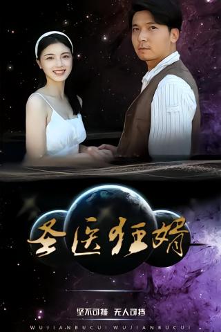 短剧圣医狂婿海报