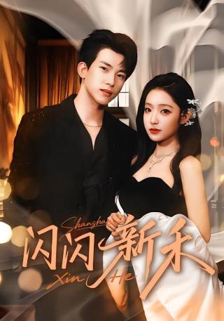 短剧闪闪新禾海报