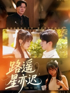 短剧路遥星亦迟海报