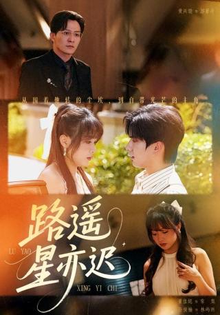 短剧路遥星亦迟海报
