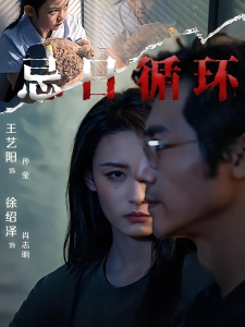 短剧忌日循环海报