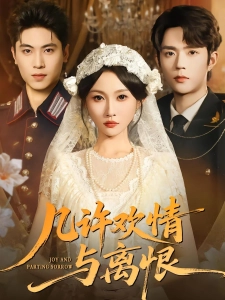 短剧几许欢情与离恨海报