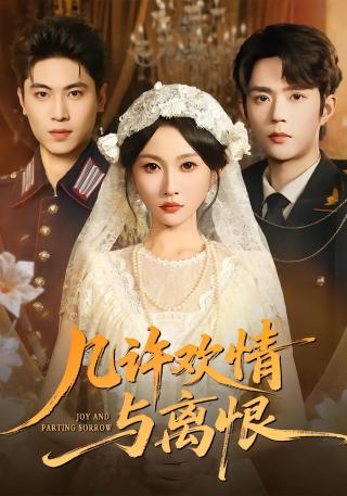 短剧几许欢情与离恨海报