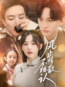 短剧风止情散不相认海报