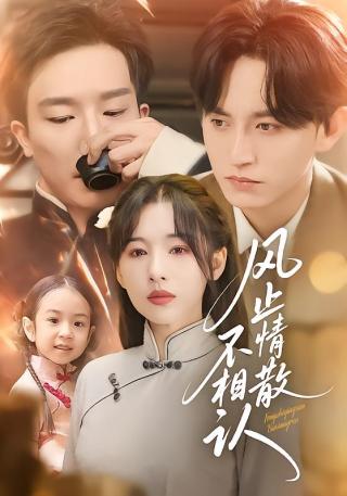 短剧风止情散不相认海报