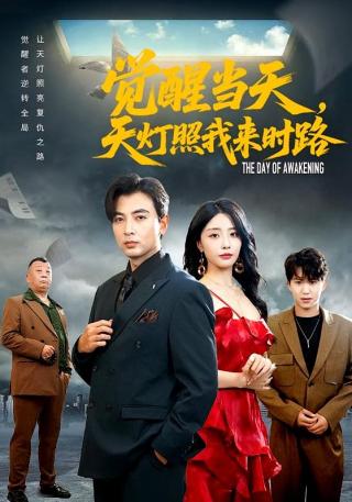 短剧觉醒当天，天灯照我来时路海报
