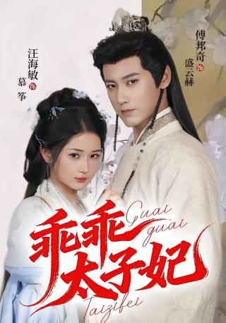 短剧乖乖太子妃海报