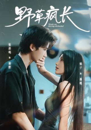 短剧野草疯长海报