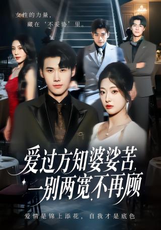 短剧爱过方知婆娑苦，一别两宽不再顾海报