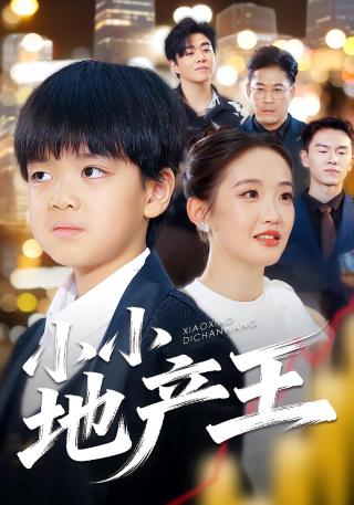 短剧小小地产王海报