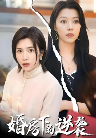 短剧婚房下的逆袭海报