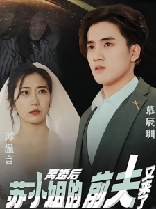 短剧离婚后，苏小姐的前夫又来了海报