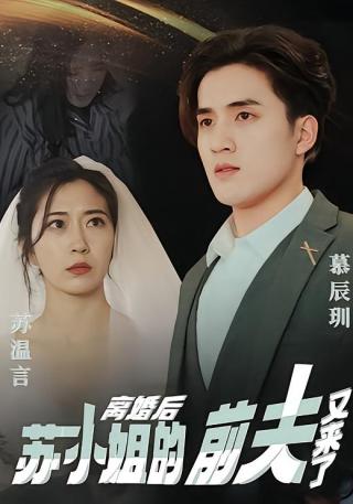 短剧离婚后，苏小姐的前夫又来了海报