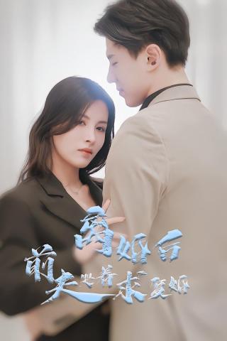 短剧离婚后前夫哭着求复婚海报