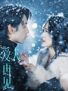 短剧爱人再见海报