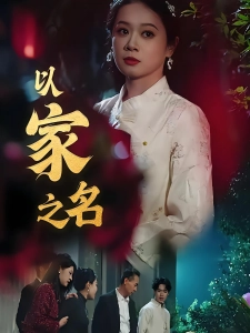 短剧以家之名海报