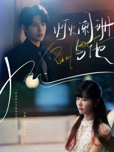 短剧灯火阑珊与他海报