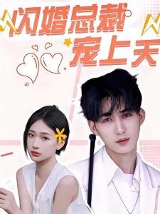 短剧闪婚总裁宠上天海报
