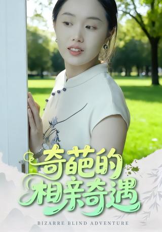 短剧奇葩的相亲奇遇海报