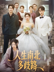 短剧人生南北多歧路海报