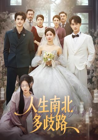 短剧人生南北多歧路海报