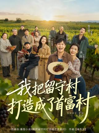 短剧我把留守村打造成了首富村海报