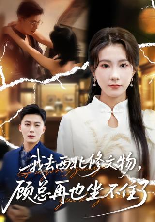 短剧我去西北修文物，顾总再也坐不住了海报