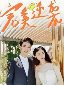 短剧完美逆袭海报