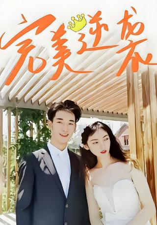 短剧完美逆袭海报