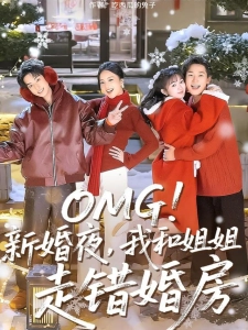 短剧OMG！新婚夜，我和姐姐走错婚房海报