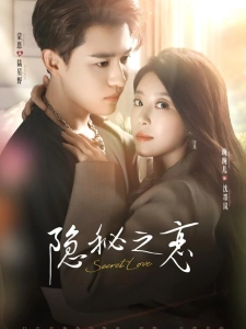 短剧隐秘之恋海报