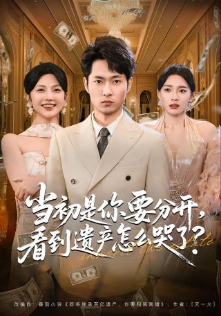 短剧当初是你要分开，看到遗产怎么哭了？海报