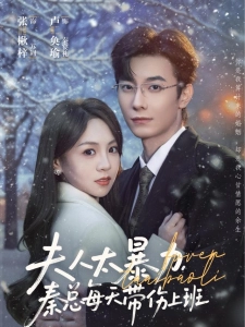 短剧夫人太暴力，秦总每天带伤上班海报