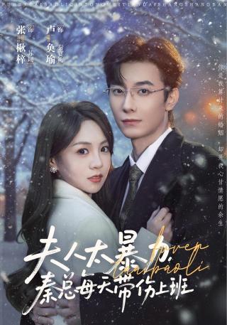 短剧夫人太暴力，秦总每天带伤上班海报