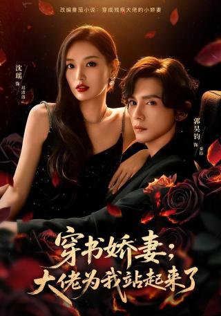 短剧穿书娇妻：大佬为我站起来了海报