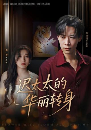 短剧迟太太的华丽转身海报