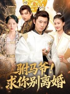 短剧驸马爷！求你别离婚海报