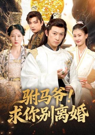 短剧驸马爷！求你别离婚海报