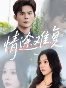 短剧情途难复海报