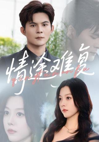 短剧情途难复海报