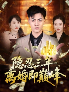 短剧隐忍三年，离婚即巅峰海报