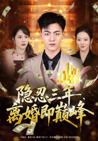 短剧隐忍三年，离婚即巅峰海报