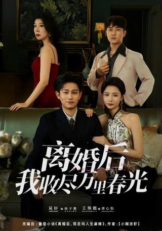 短剧离婚后我收尽万里春光海报
