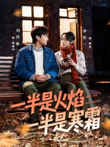短剧一半是火焰一半是寒霜海报
