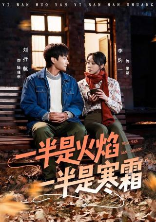 短剧一半是火焰一半是寒霜海报