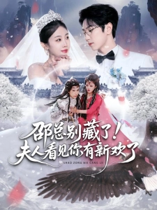 短剧邵总别藏了！夫人看见你有新欢了海报