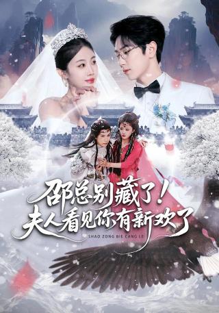 短剧邵总别藏了！夫人看见你有新欢了海报