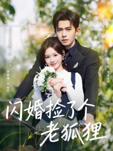 短剧闪婚捡了个老狐狸海报