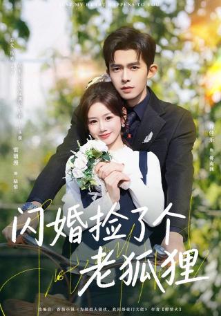 短剧闪婚捡了个老狐狸海报