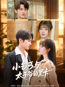 短剧小乞丐与太子爷的黑卡海报